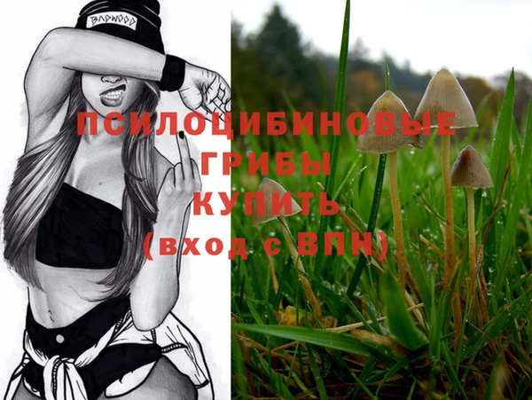 ECSTASY Надым